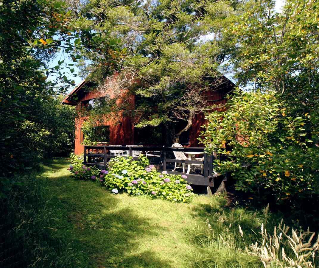 Cabanas Natural Park Lodge Pucon Luaran gambar