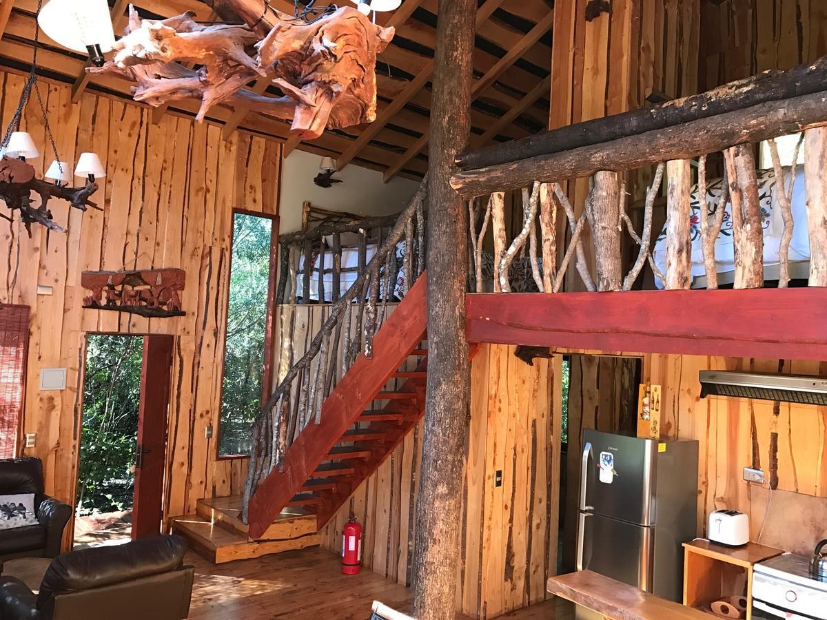 Cabanas Natural Park Lodge Pucon Luaran gambar